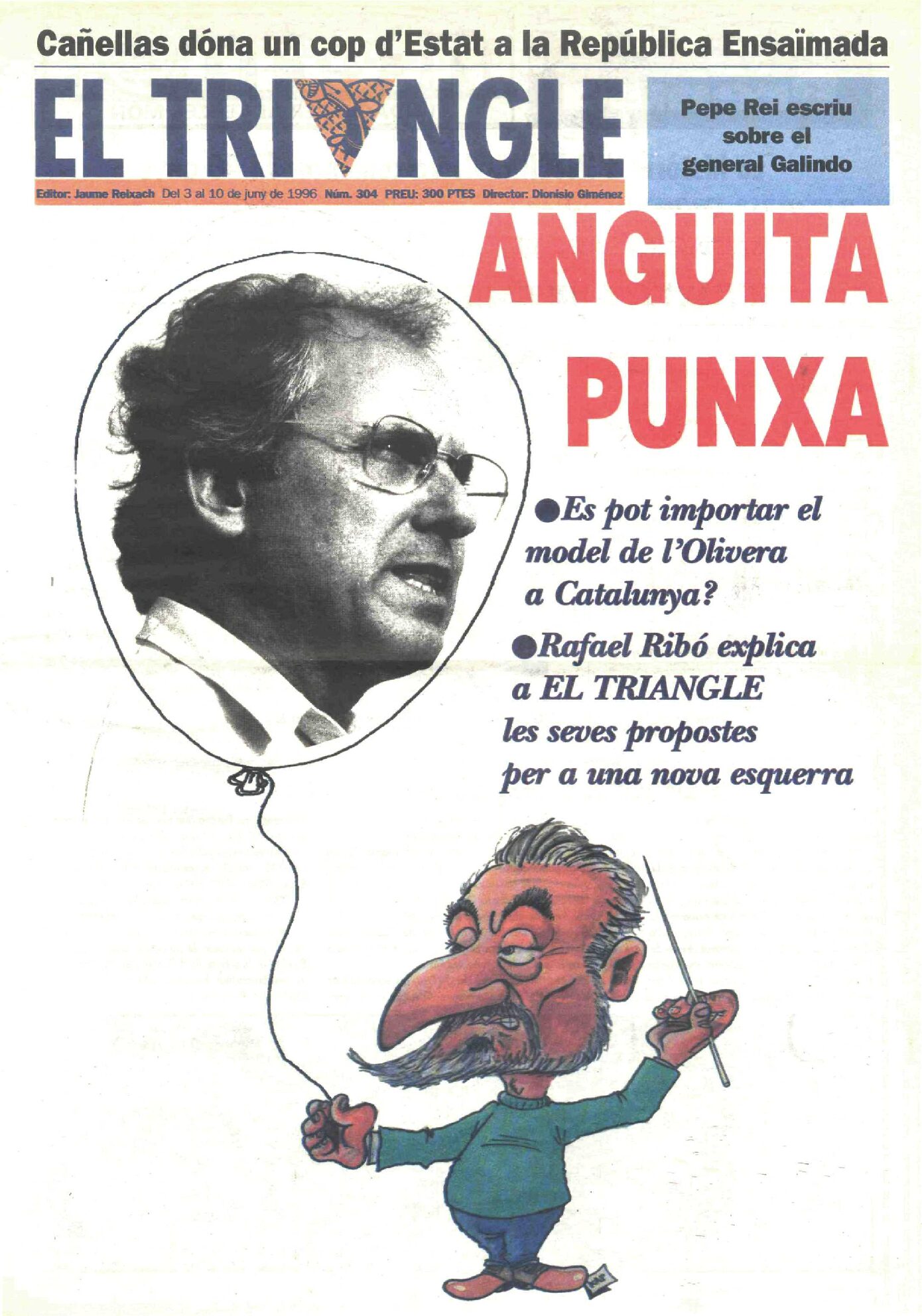 Anguita punxa